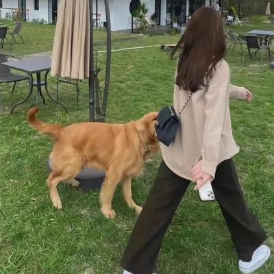 致我们终将到来的爱情