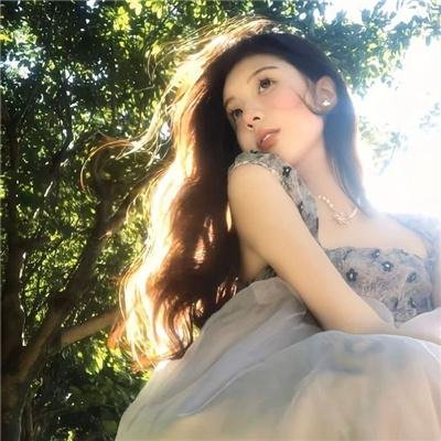 大象心